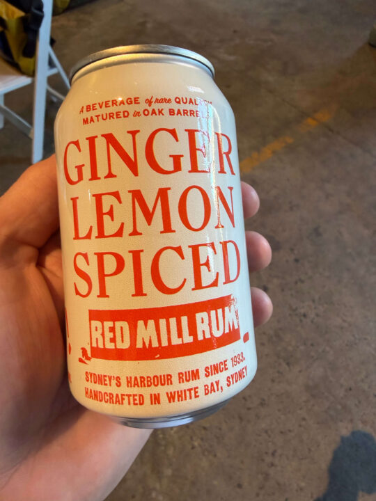 Your Shout! Spiced Ginger Cans (x16)