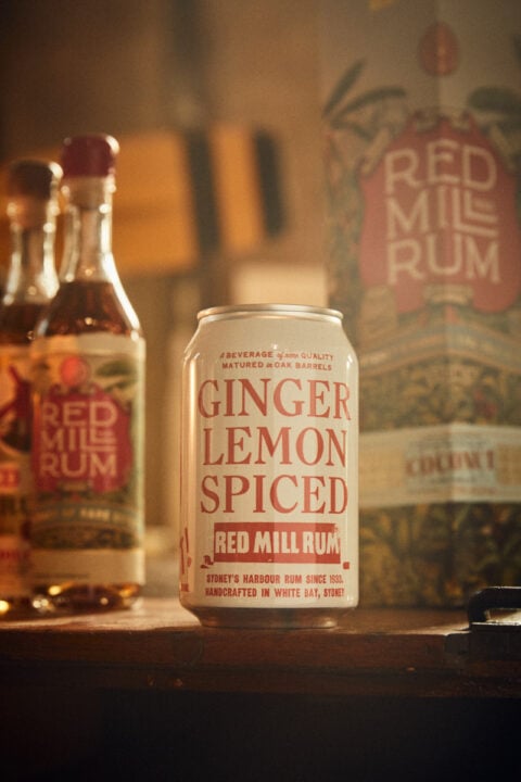 Your Shout! Spiced Ginger Cans (x16)